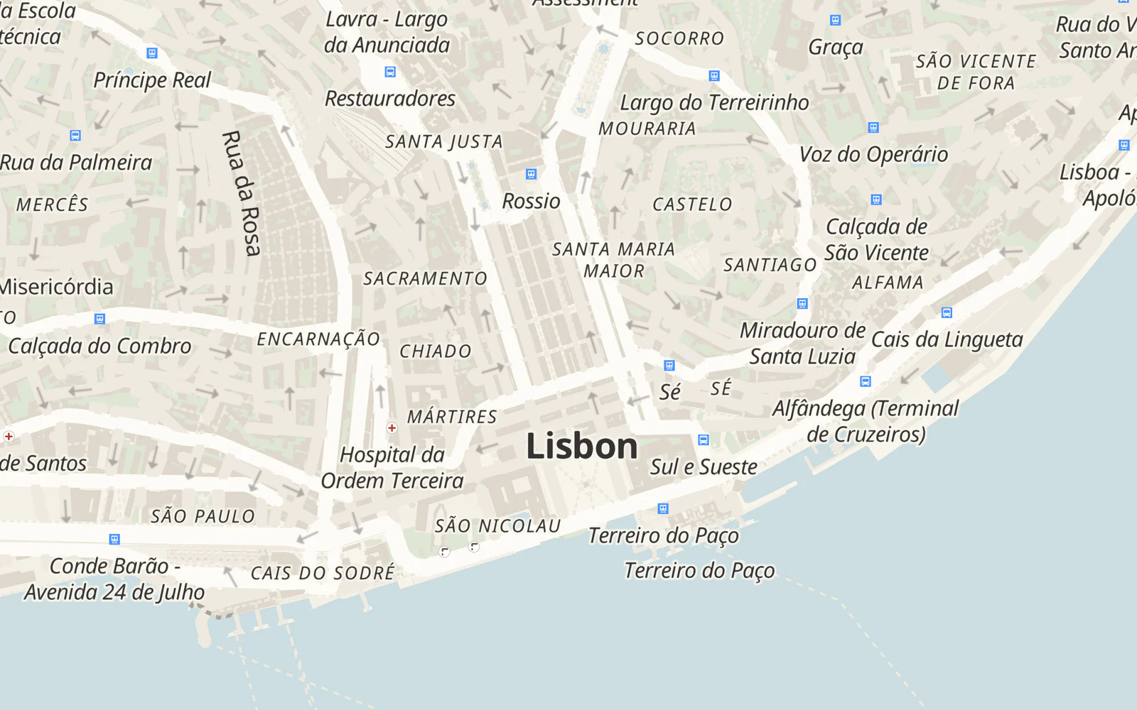 Close-up of the Lisbon poster around Baixa and Alfama, with street names readable at print size